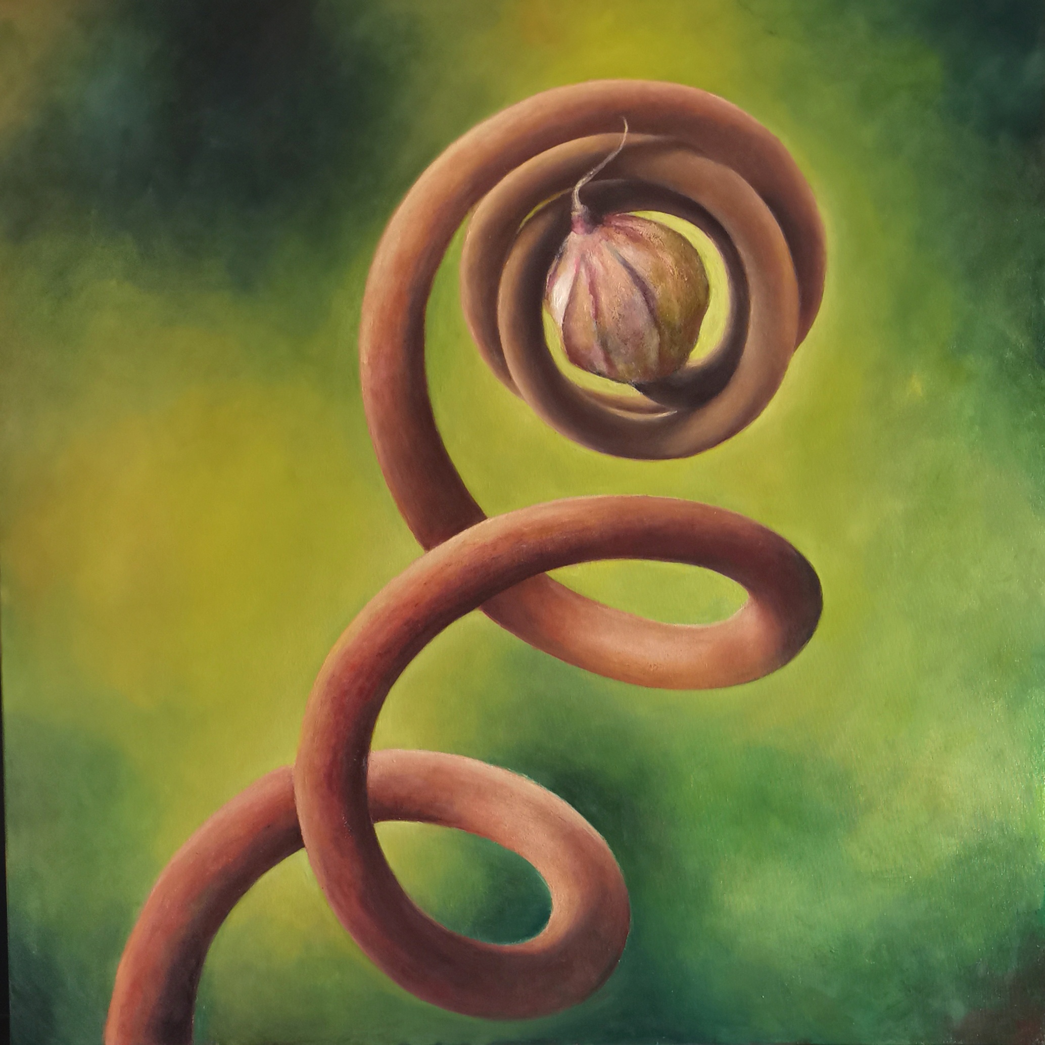 Spira Mirabilis